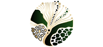 avest-logo Edith Astaa Venke - Avesta